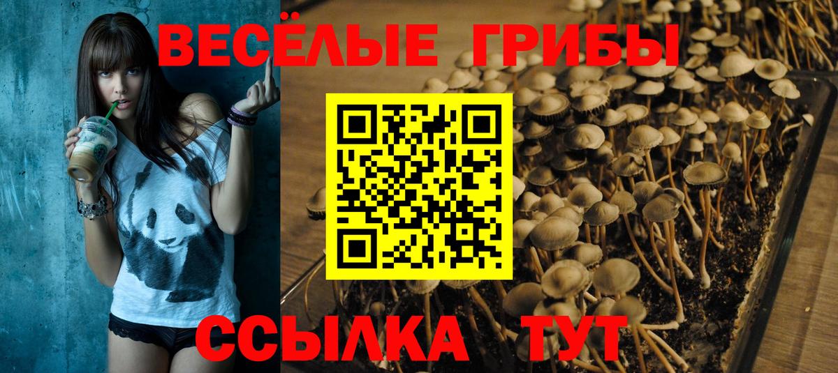 Астрахань  Галлюциногенные грибы мицелий  Вход с VPN 