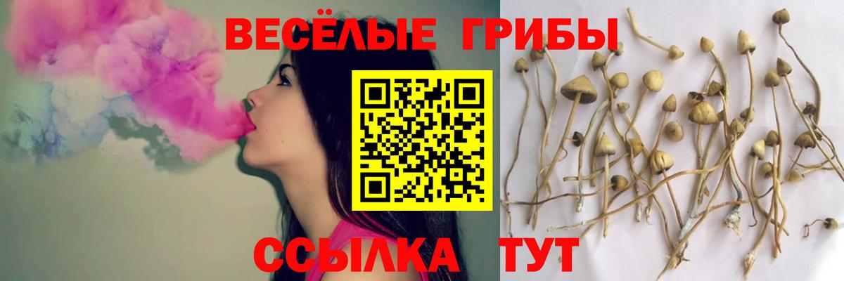 Галлюциногенные грибы GOLDEN TEACHER Астрахань